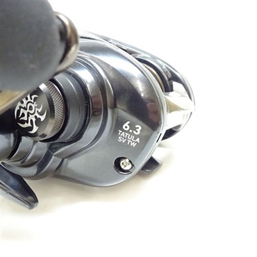 ２０タトゥーラＳＶＴＷ１０３ＨＬ